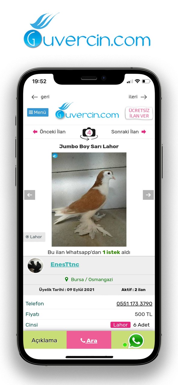 GUVERCiN.COM Güvercin İlanları screenshot image 2_Popularmodapk.com