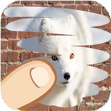 Animals , guess which one1.0_Popularmodapk.com