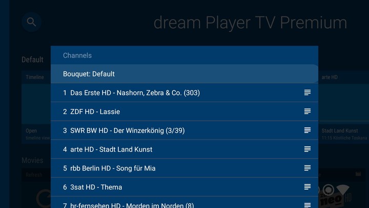 dream Player for Android TV screenshot image 10_Popularmodapk.com