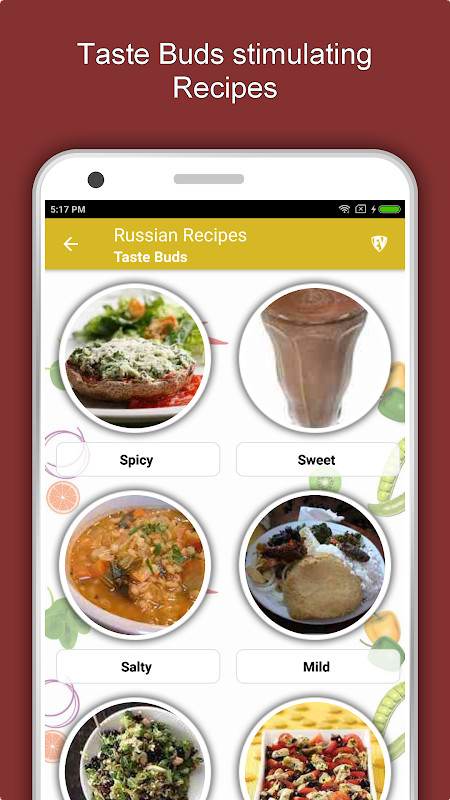 Russian Food Recipes Offline screenshot image 1_Popularmodapk.com