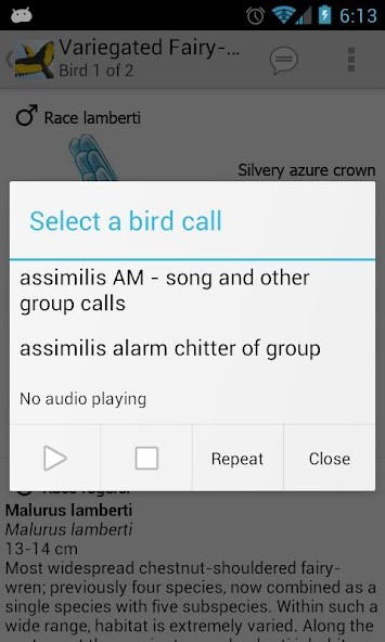 Aubameyang wallpaper-Gabon screenshot image 10_Popularmodapk.com