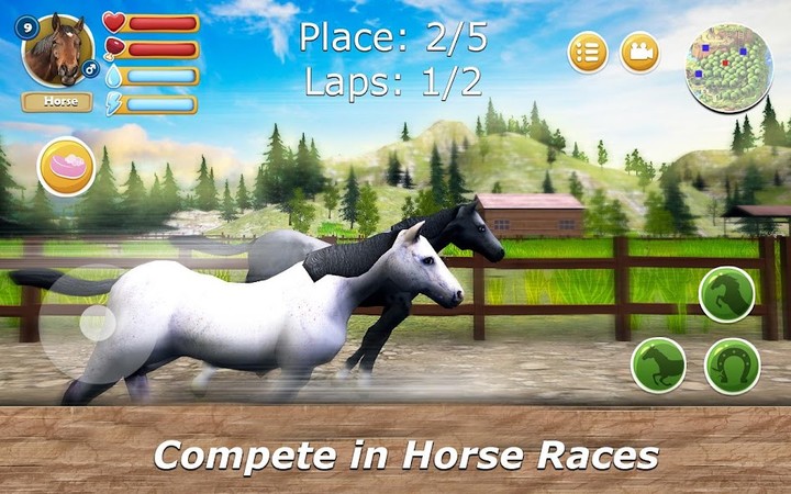 Horse Stable: Herd Care Simulator<span>(Unlimited money)</span> screenshot image 3_Popularmodapk.com