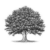 OAK Fitness7.33.0_Popularmodapk.com