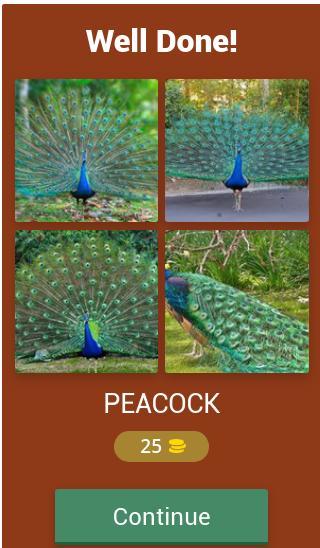 Birds Quiz screenshot image 2_Popularmodapk.com