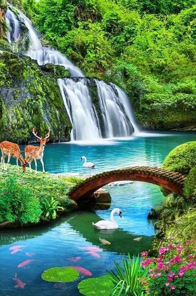 Spring Wallpapers screenshot image 4_Popularmodapk.com