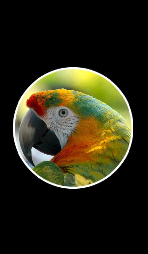 22 Clues: Word Game screenshot image 2_Popularmodapk.com