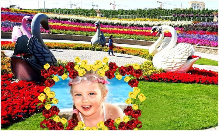 Beautiful Garden Photo Gallery screenshot image 2_Popularmodapk.com