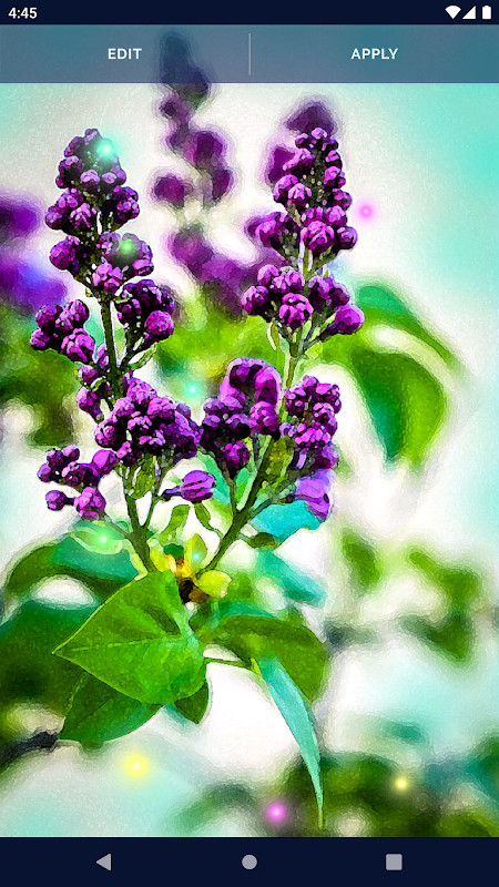 YoRipe - Recipes, Shop, Share screenshot image 3_Popularmodapk.com