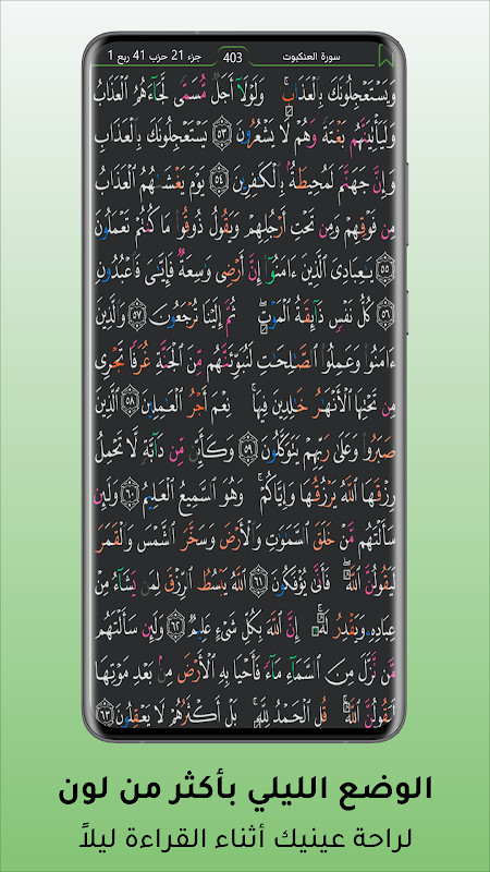 حامل القرآن: مصحف التجويد وتفسير دون انترنت screenshot image 4_Popularmodapk.com