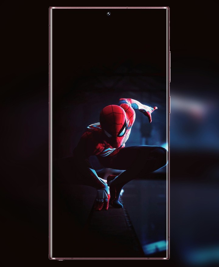 S22 Ultra Punch Hole Wallpaper screenshot image 16_Popularmodapk.com