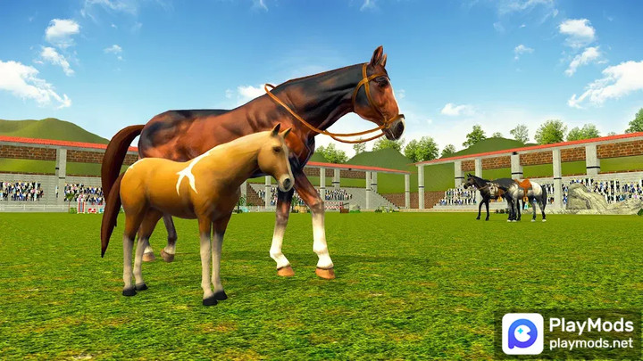 Star Horse Game-Horse Riding<span>(Unlimited Money)</span> screenshot image 4_Popularmodapk.com