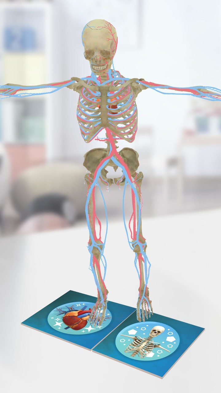 Anatomia Super screenshot image 5_Popularmodapk.com