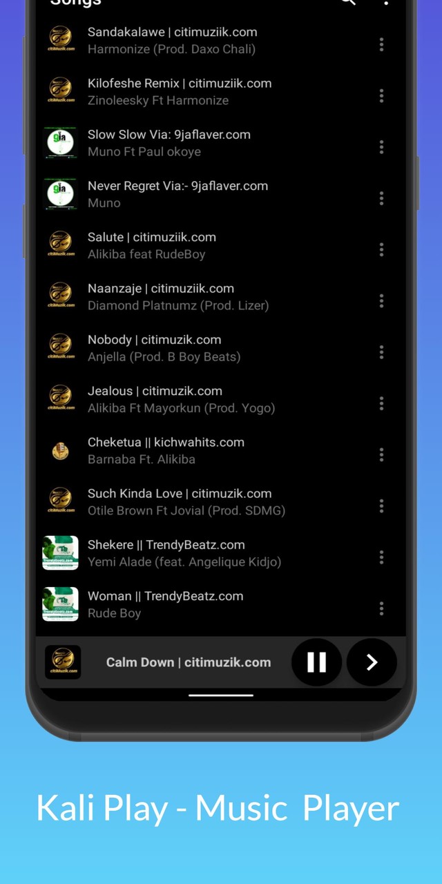 Kali Play - Music Player screenshot image 8_Popularmodapk.com