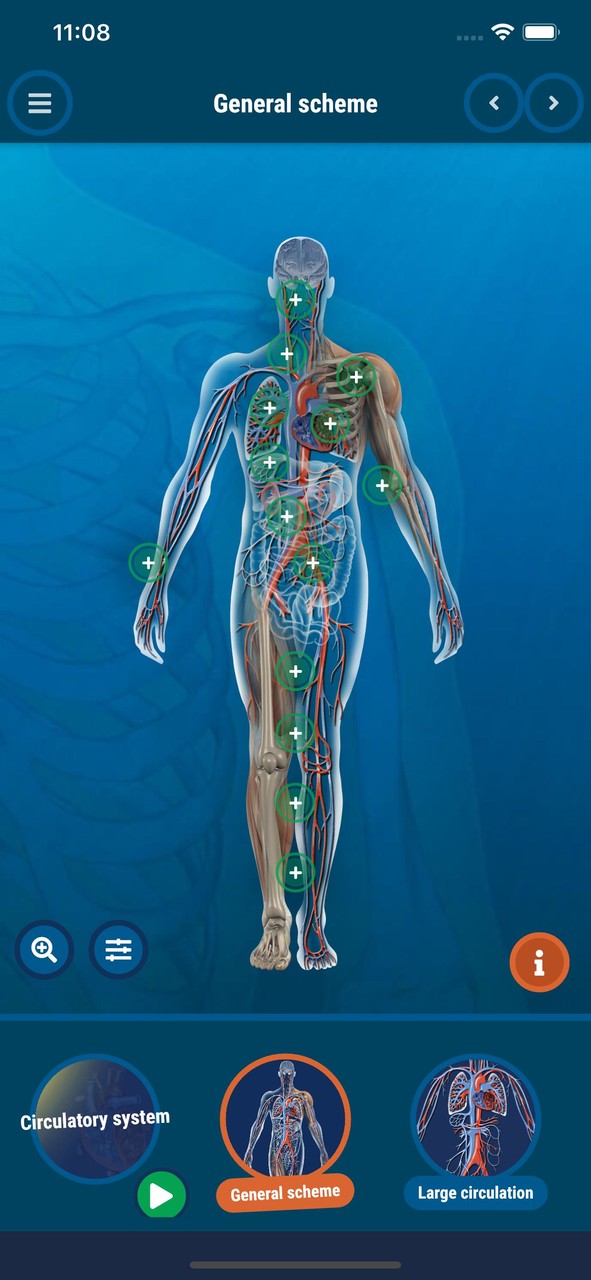 The Human Body screenshot image 9_Popularmodapk.com