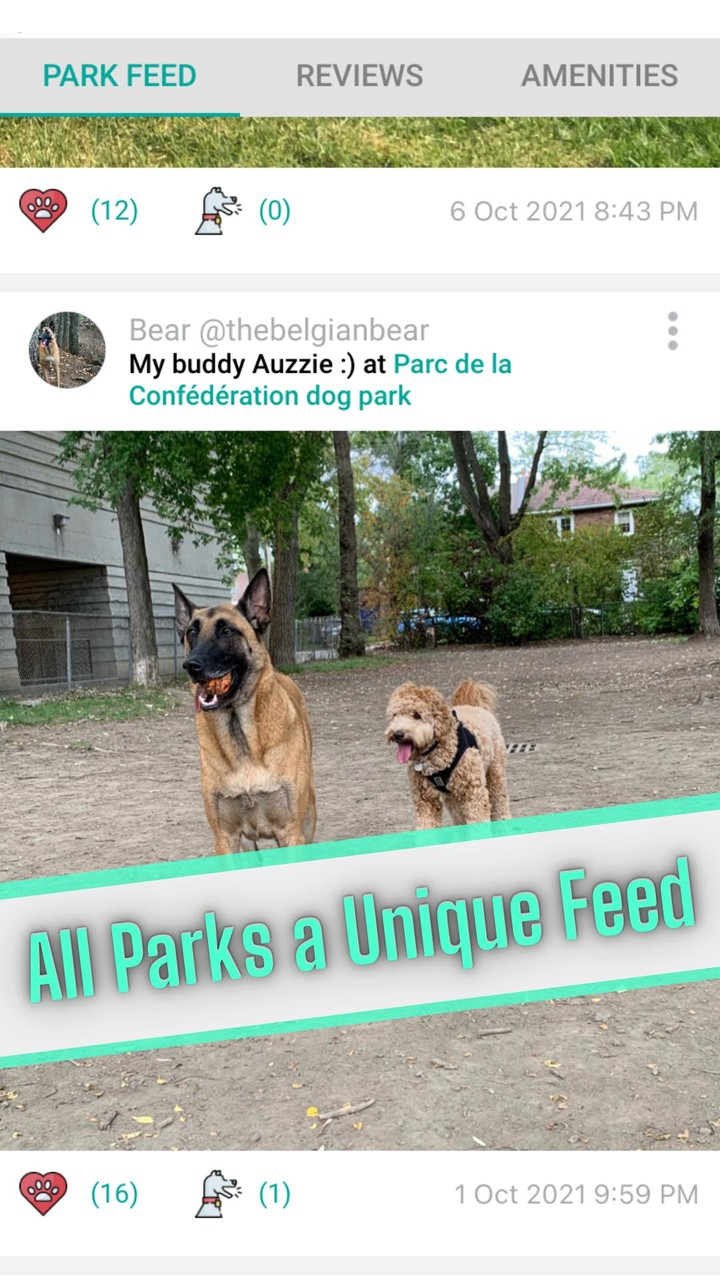 DogPack screenshot image 7_Popularmodapk.com