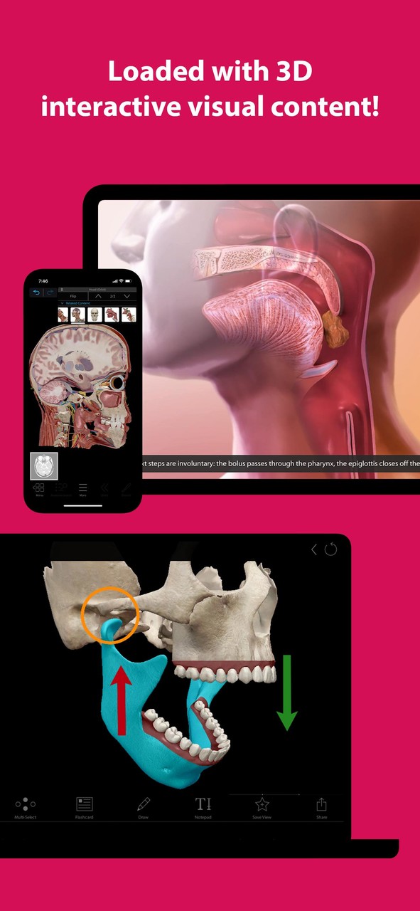 Human Anatomy Atlas 2022＋ screenshot image 7_Popularmodapk.com