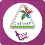Galwaykart10.2.32_Popularmodapk.com