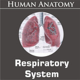 Respiratory System1.1_Popularmodapk.com