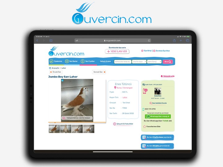 GUVERCiN.COM Güvercin İlanları screenshot image 8_Popularmodapk.com