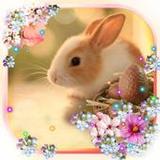 Easter Bunny Live wallpaper1.9_Popularmodapk.com