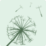 靜觀心禱2.1.9_Popularmodapk.com