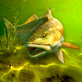 My Fishing World<span>(Unlimited Currency)</span>1.15.21_Popularmodapk.com