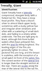 FR SQUARE -5G LAB screenshot image 5_Popularmodapk.com