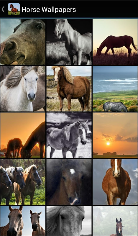 克莱恩破解版<span>(mod)</span> screenshot image 2_Popularmodapk.com