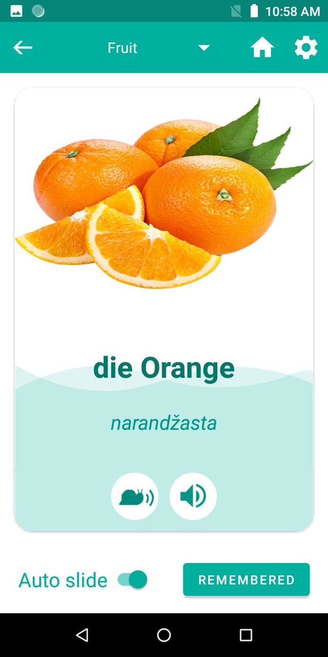 Bosnian German Translator screenshot image 12_Popularmodapk.com