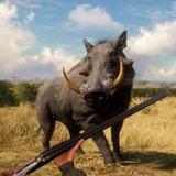 Pig Shooting Wild Animals Hunt1.0.21_Popularmodapk.com