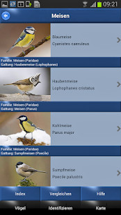 Pikkit: Sports Bet Tracker screenshot image 7_Popularmodapk.com