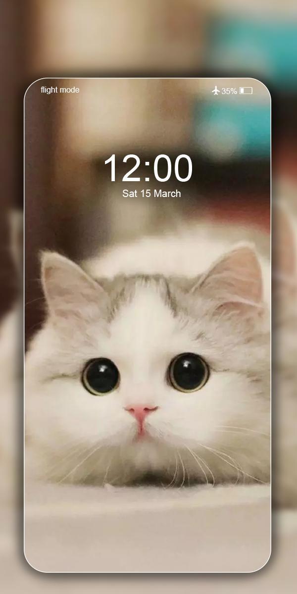 Cute Cat Wallpaper Live HD screenshot image 7_Popularmodapk.com