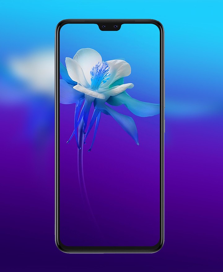 Vivo V20 & V21 Pro Wallpaper screenshot image 6_Popularmodapk.com