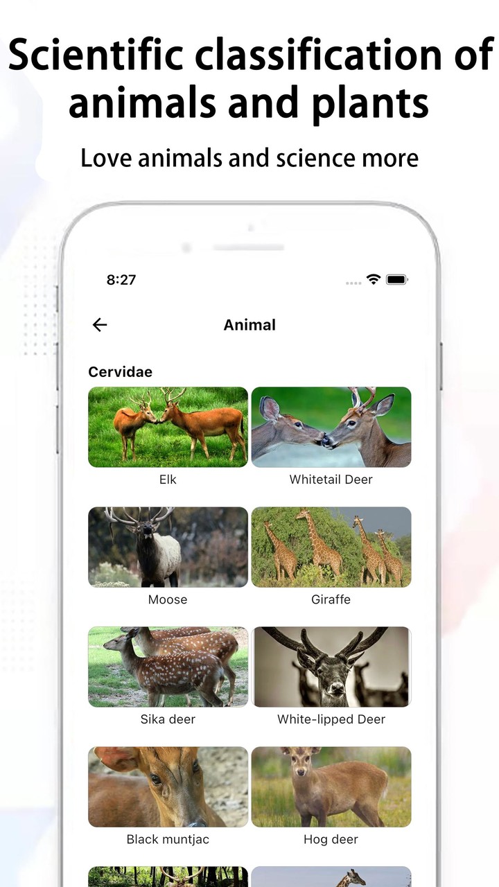 Animal & Plant Recognition 3D screenshot image 25_Popularmodapk.com