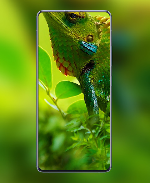 A51/A71 Punch Hole Wallpaper screenshot image 2_Popularmodapk.com