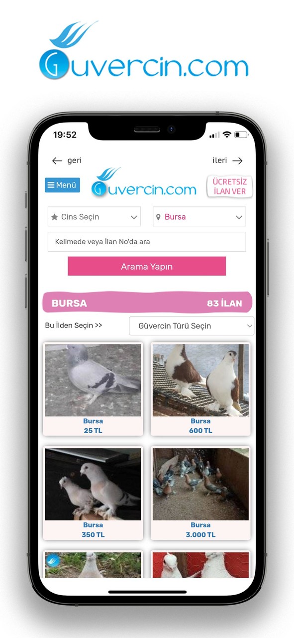 GUVERCiN.COM Güvercin İlanları screenshot image 4_Popularmodapk.com