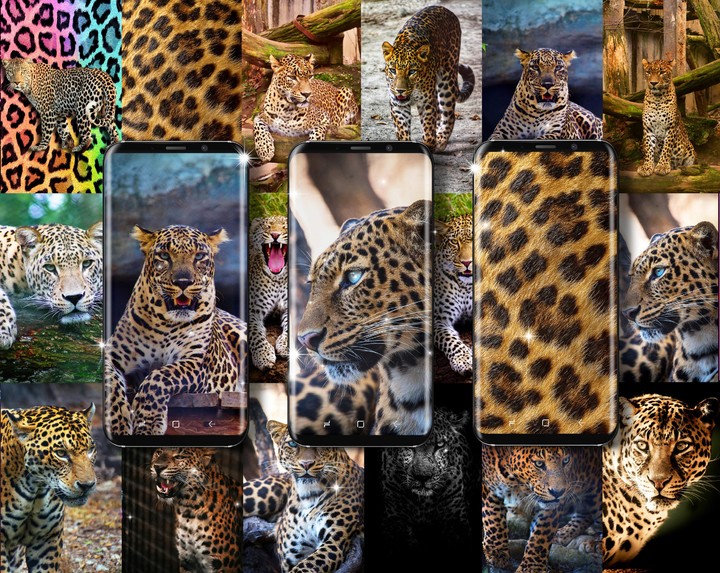 Cheetah leopard live wallpaper screenshot image 7_Popularmodapk.com