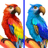Spot The Difference: Fashion1.3.39_Popularmodapk.com
