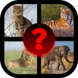 Guess the animal9.4.6z_Popularmodapk.com