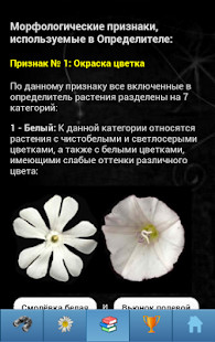 FWB Dating & NSA Hookup: FWBS screenshot image 3_Popularmodapk.com