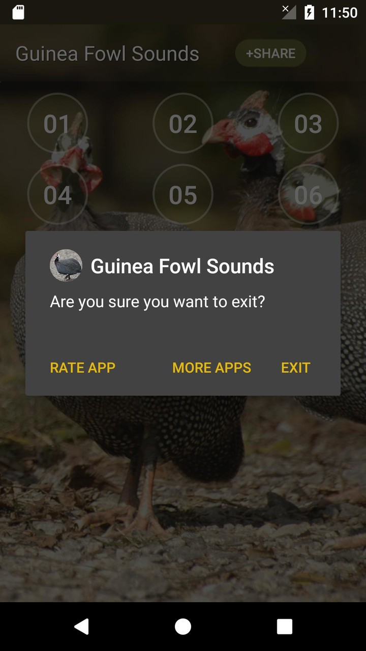 Guineafowl Sounds & Calls screenshot image 13_Popularmodapk.com