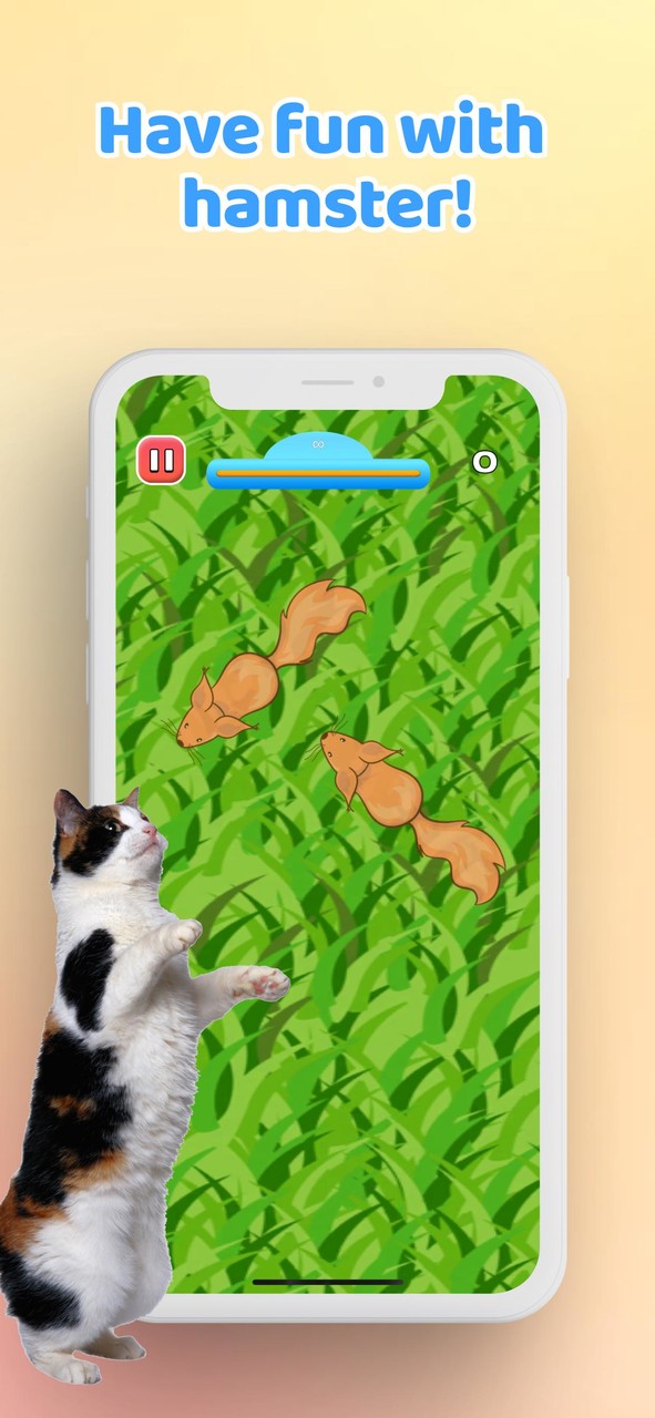 Games for Cat－Toy Mouse & Fish screenshot image 5_Popularmodapk.com