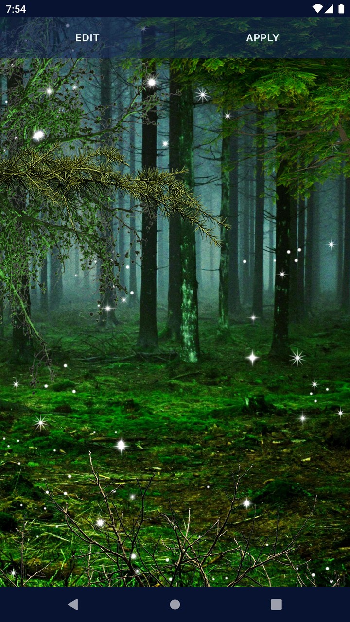 Forest Live Wallpaper screenshot image 7_Popularmodapk.com