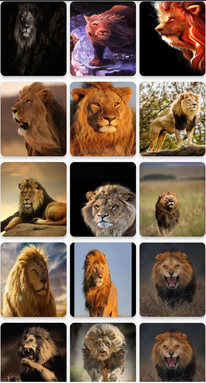 صور 4k screenshot image 8_Popularmodapk.com