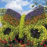 Garden Plants3.2.0_Popularmodapk.com