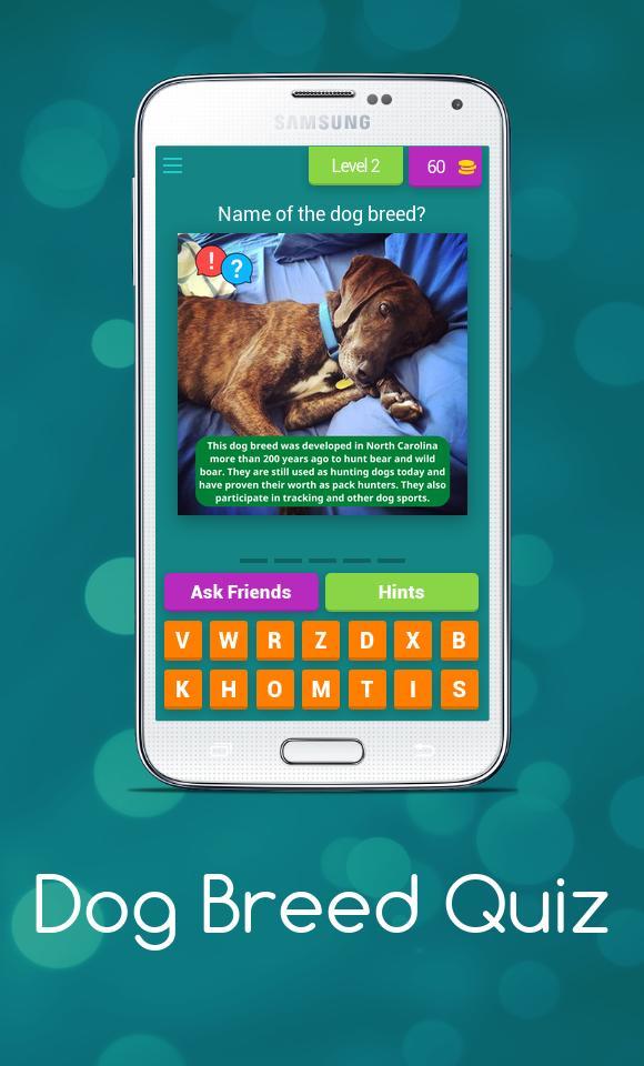 Dog Breed Quiz screenshot image 3_Popularmodapk.com