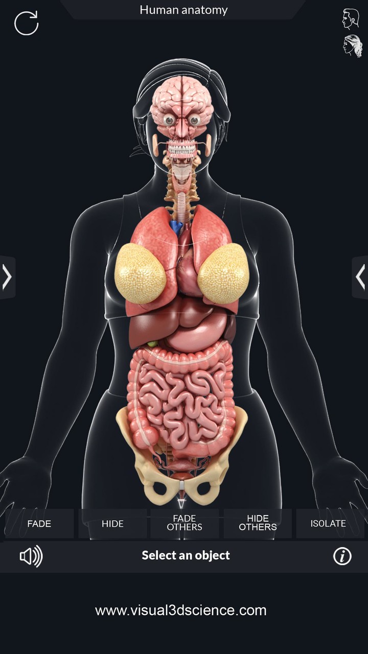 Organs Anatomy Pro. screenshot image 5_Popularmodapk.com