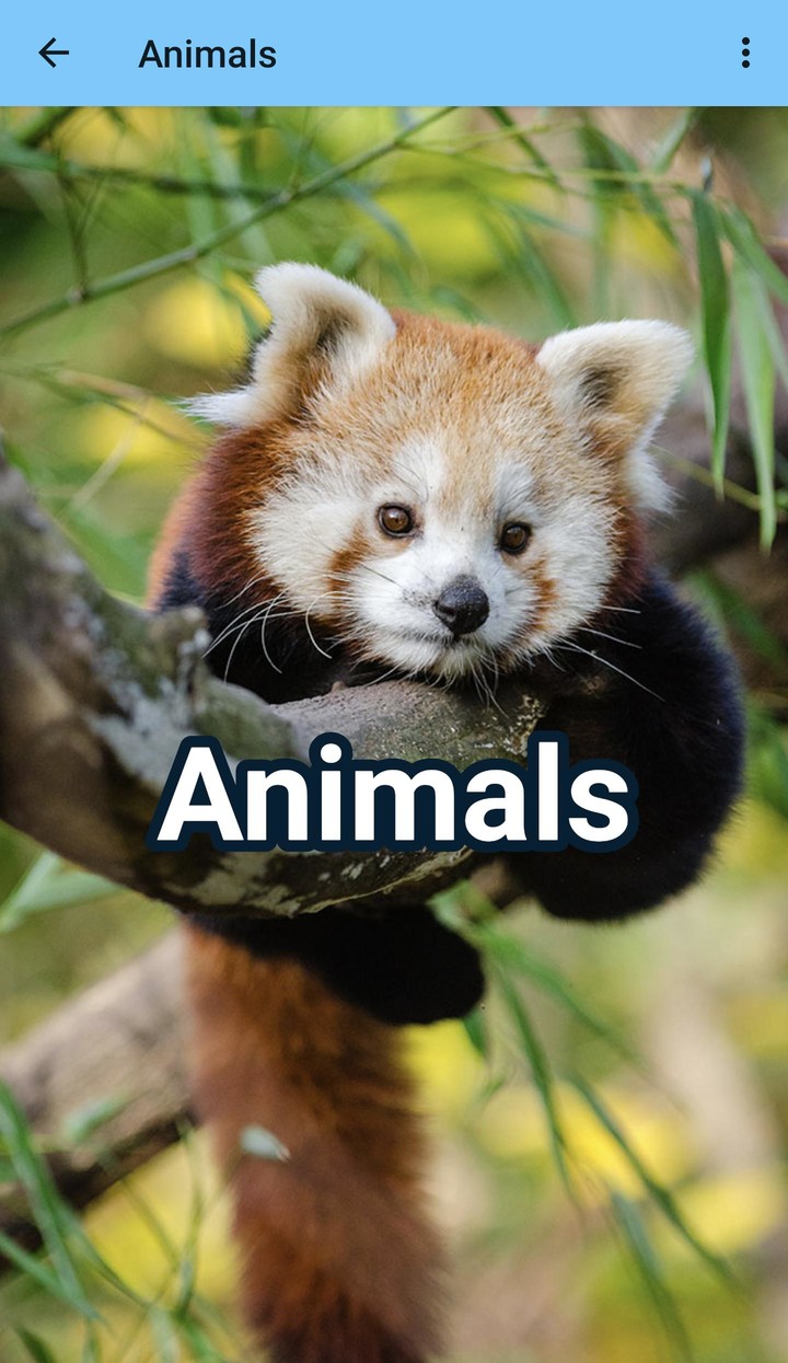 Glotty screenshot image 2_Popularmodapk.com