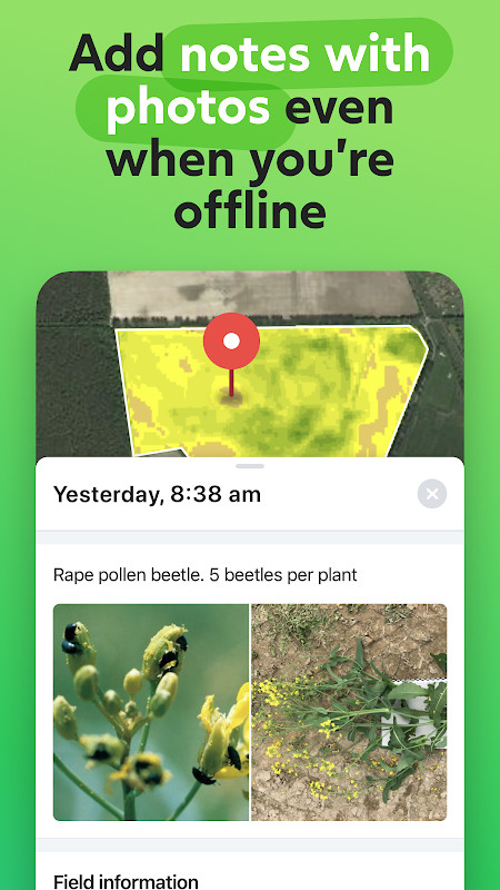 Peacock Sounds screenshot image 11_Popularmodapk.com