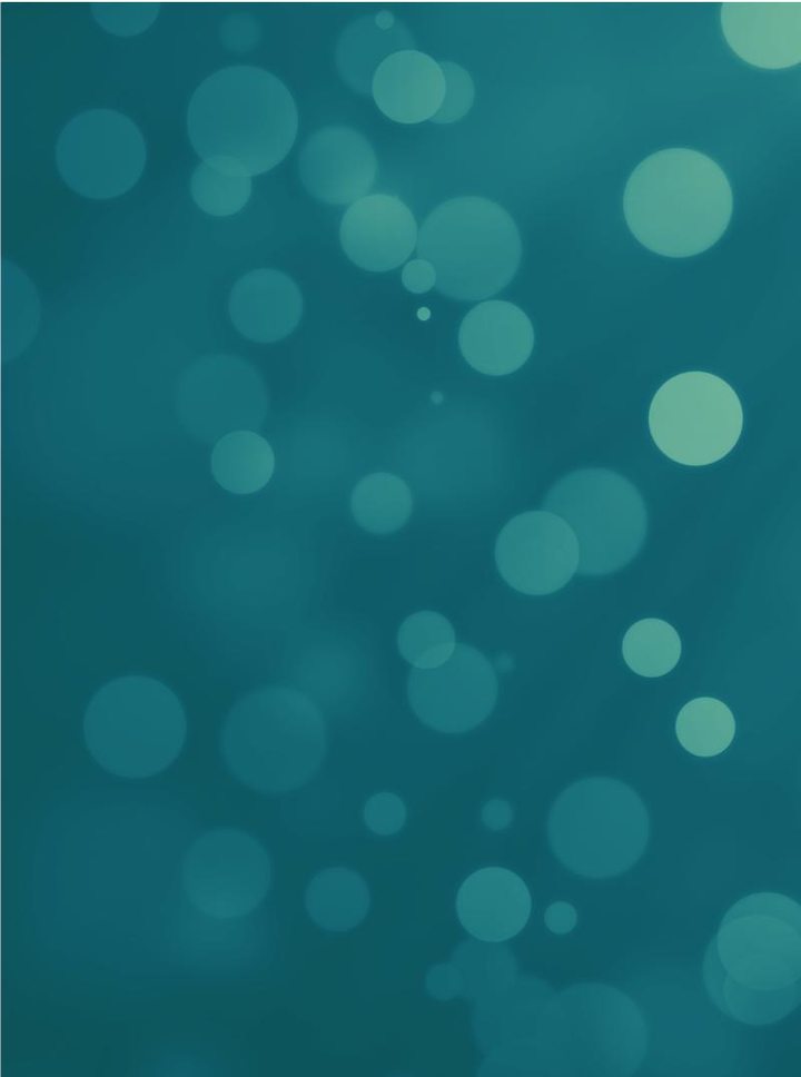 弹弓锦标赛破解版<span>(mod)</span> screenshot image 12_Popularmodapk.com